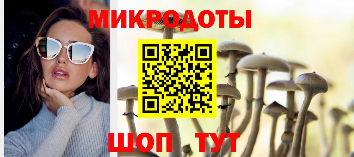 Галлюциногенные грибы Psilocybine cubensis  Псилоцибиновые грибы GOLDEN TEACHER  Омск  Вход с VPN 